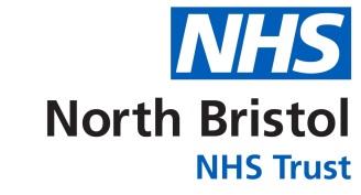 1 North Bristol NHS Trust INTEGRATED PERFORMANCE