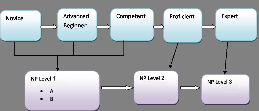 NPCL Conceptual Framework Benner, P. E. (2000).