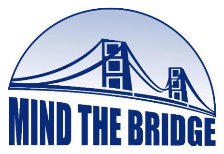 About Mind the Bridge Foundation Mind the Bridge is an educational institution that runs programs to support all actors in entrepreneurial ecosystems.