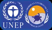 Regional Capacity Building UNEP/IMO Regional Center: Regional Activity Center for Marine