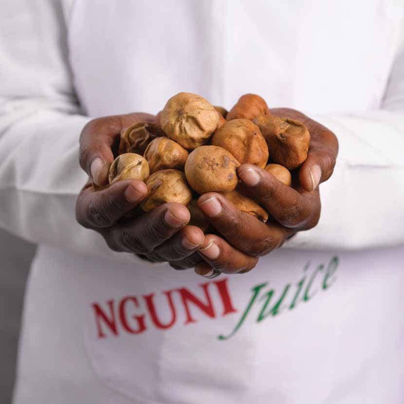 3. NGUNI JUICE CC UMVIYO JUICE Development of a tonic and energy juice called Umviyo Juice from a vangueria infausta (Umviyo) fruit.