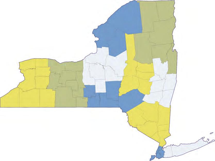 Geography: To provide a sense of the geographic spread and variation in adoption of the PCMH model, we grouped practices and providers by the 11 regions used by the New York s Population Health