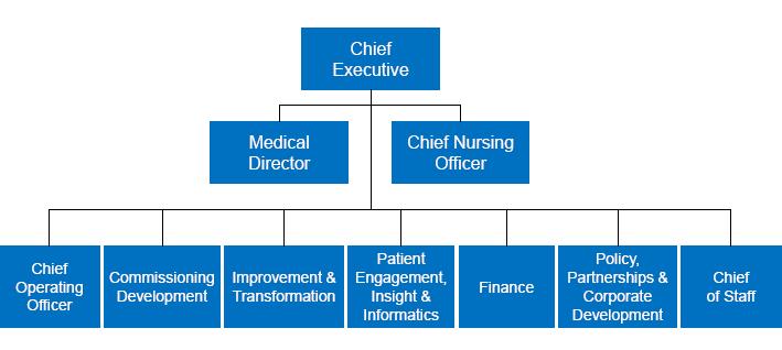 The NHS Commissioning Board Special Health Authority, established on 31 October 2011, plays a key role in