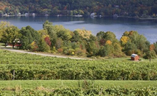 Wells, and SUNY campuses Distinctive Finger Lakes assets: four seasons, lakes, vineyards, arts, tourism, history, culture, travel