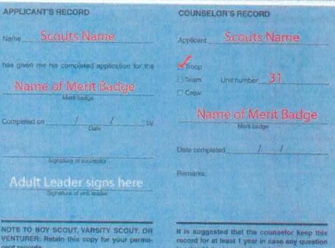 (Shown is a previous version of the blue card.