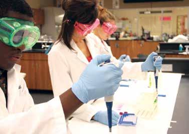 Biotechnology * Biotechnology Biotechnologists set up, operate, and maintain laboratory instruments, monitor experiments, make observations, perform research, calculate and keep detailed logs and