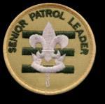 SENIOR PATROL LEADER Position description: The Senior Patrol Leader is elected by the Scouts to represent them as the top youth leader in the troop. Reports to: The Scoutmaster and ASMs.