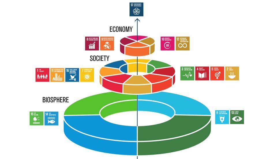 entrepreneurs that contribute towards the SDG 8 in a form of creating added value resulting into economic growth and decent work.