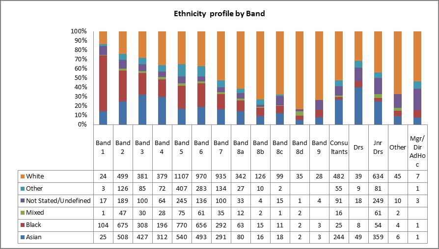 Ethnicity profile by band The ethnicity profile by band shows an above Trust baseline average of BME staff on bands 5 and 6 and a
