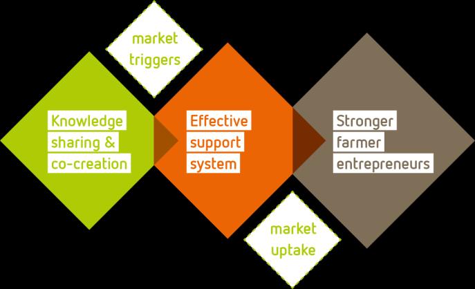 Preamble AgriProFocus Indonesia is part of the global AgriProFocus network.