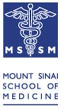 of Ambulatory Care Mount Sinai School of Medicine Elmhurst