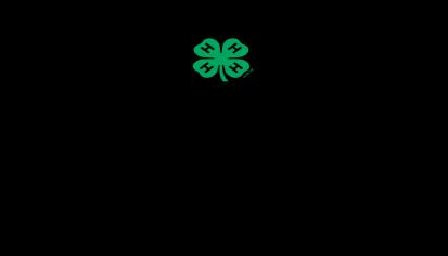 4-H Awards and Programs Available to Youth and Clubs 4-H Youth Character Award A 4-H Youth Character award winner, may be the youth who doesn t win championships in 4-H, but will be the youth who is