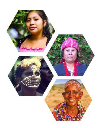 I. ABOUT THE INDIGENOUS WOMEN FUND "AYNI" The International Indigenous Women Forum (FIMI), is a global network of women that organizes indigenous women's organizations in Asia, Africa, the Arctic,