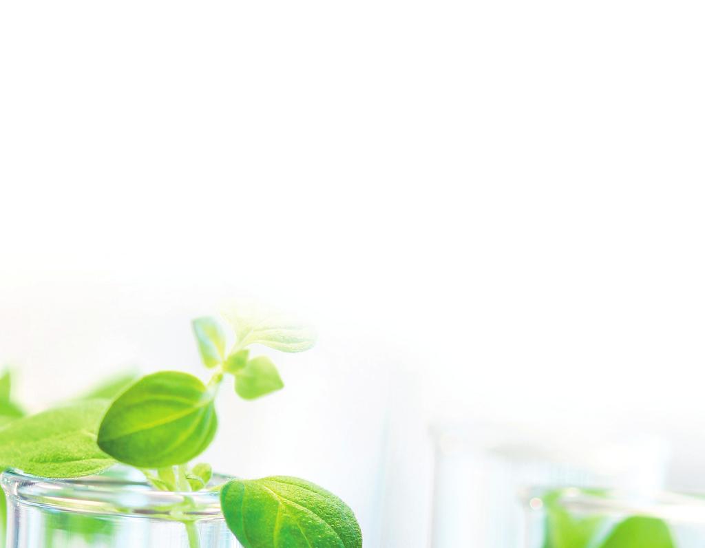 Need help starting your bio-based business?
