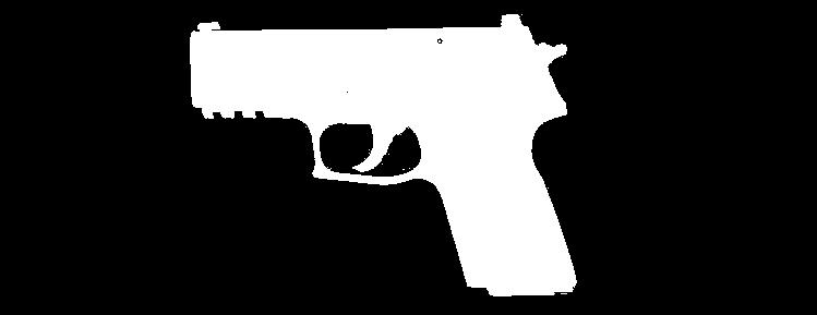 SIG Sauer Model P229R Semi-Automatic Pistols St.