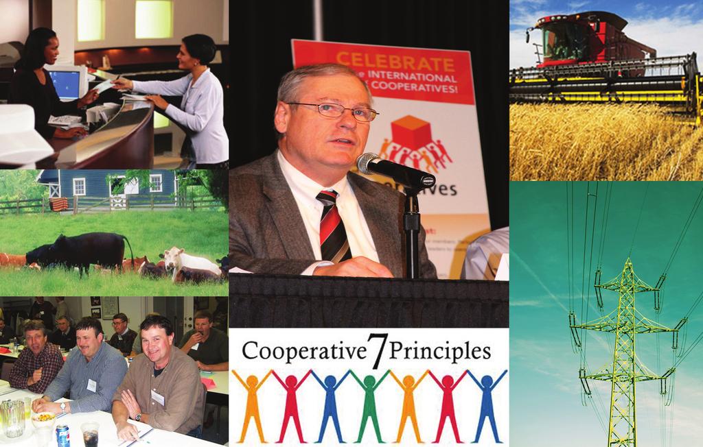 Cooperative Business Education For the Future Council Report Mid America Cooperative Education, Inc.