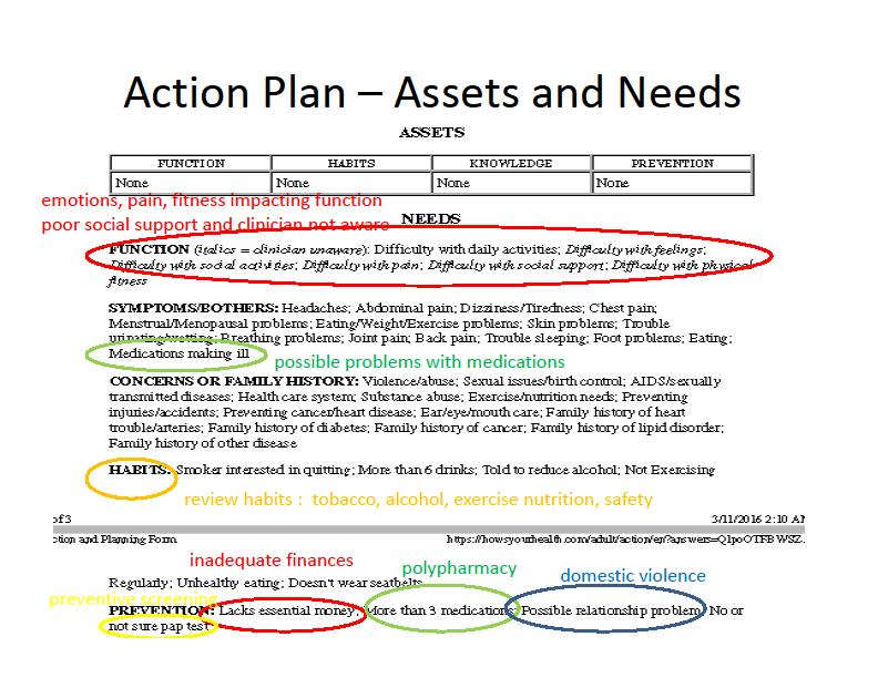 The next sections, health Assets and Needs show where and how the determinants of care are reported in the action plan.