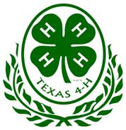 The new 4-H year brings a lot of opportunities to learn new things, compete for awards and honors, make new friends and learn valuable life skills.