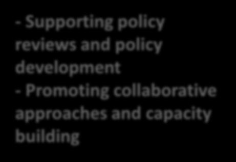 policy measures for disadvantaged groups - Enhancing