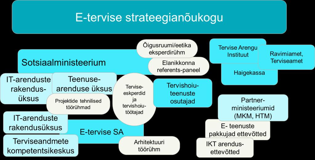 Implementation of the strategy Organisation For the implementation of the strategy, an efficient organisation is applied with a task to ensure the achievement of the desired strategic ehealth goals