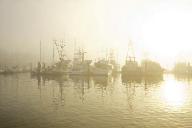 HSU helps northern CA fishing communities NOAA Saltonstall-Kennedy: $271,000 Fishing community sustainability plans Social, economic, and environmental factors Dr.