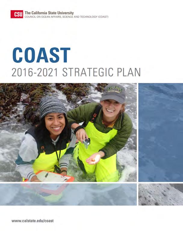 2016-2021 Strategic Plan Amplify success