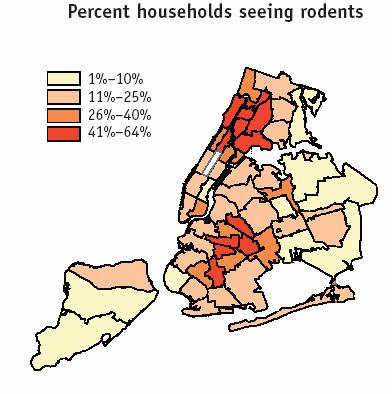 Rodents in NYC Residences