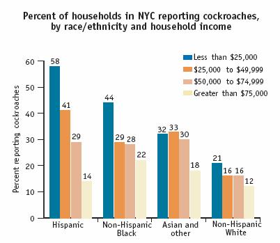 Racial and Income Disparities in
