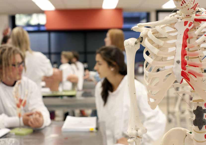 why health and medicine? Health and Medicine is for passionate students considering careers in areas such as exercise science, medicine, nursing, nutrition or public health.