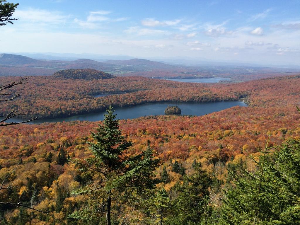 New England Forests and Rivers Fund