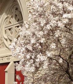 UNIVERSITY OF EVANSVILLE Society NEWSLETTER April/May 2016 From the University Chaplain SPRING SEMESTER 2016 in Sunday, April 10 and April 17 n 11:00 a.m. University Worship Sunday, April 24 n 11:00 a.