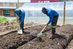 Good rains have helped the entrepreneurs establish their vegetable gardens and set themselves up to take advantage of the trend to edible