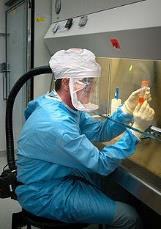 preparation All transfers of hazardous drugs should be carried out in an ISO Class 5 BSC or (Compounding Aseptic Containment Isolator (CACI) Optimally