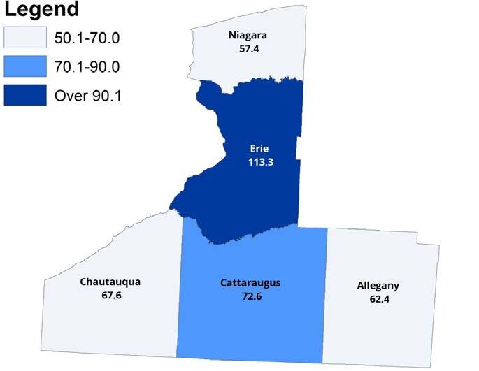 Primary Care Physicians There were nearly 1,350 primary care physicians practicing in the Western New York region.