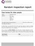 Random inspection report