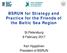 BSRUN for Strategy and Practice for the Friends of the Baltic Sea Region