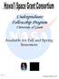 Undergraduate Fellowship Program