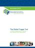 November The Global Trigger Tool. A Practical Implementation Guide for New Zealand District Health Boards