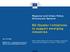 EU Cluster Initiatives to support emerging industries