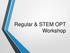 Regular & STEM OPT Workshop