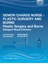 SENIOR CHARGE NURSE - PLASTIC SURGERY AND BURNS Plastic Surgery and Burns Glasgow Royal Infirmary