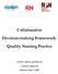 Collaborative. Decision-making Framework: Quality Nursing Practice
