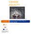 GENDER EQUALITY. Telecentre Europe s Position Paper on Gender Equality 19/12/15. Prepared by: Interface3, Belgium. Sergey Nivens