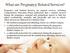 What are Pregnancy Related Services?