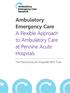 Ambulatory Emergency Care A Flexible Approach to Ambulatory Care at Pennine Acute Hospitals. The Pennine Acute Hospitals NHS Trust