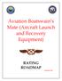 Aviation Boatswain s Mate (Aircraft Launch and Recovery Equipment)