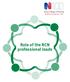 Role of the RCN professional leads