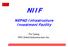 NIIF NEPAD Infrastructure Investment Facility