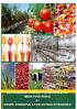 EXPRESSION OF INTEREST FOR SETTING UP OF MEGA FOOD PARKS AT BAHERI, KHIMSEPUR & KOSI KOTWAN EXTENSION-II