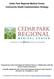 Cedar Park Regional Medical Center Community Health Implementation Strategy